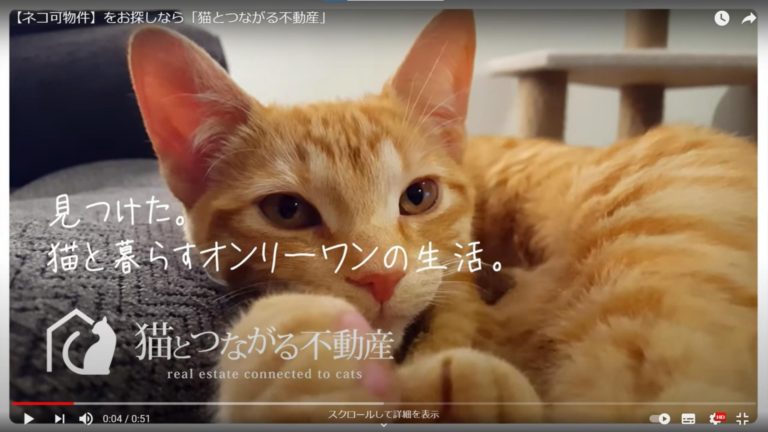 猫とつながる不動産 YouTubeチャンネル